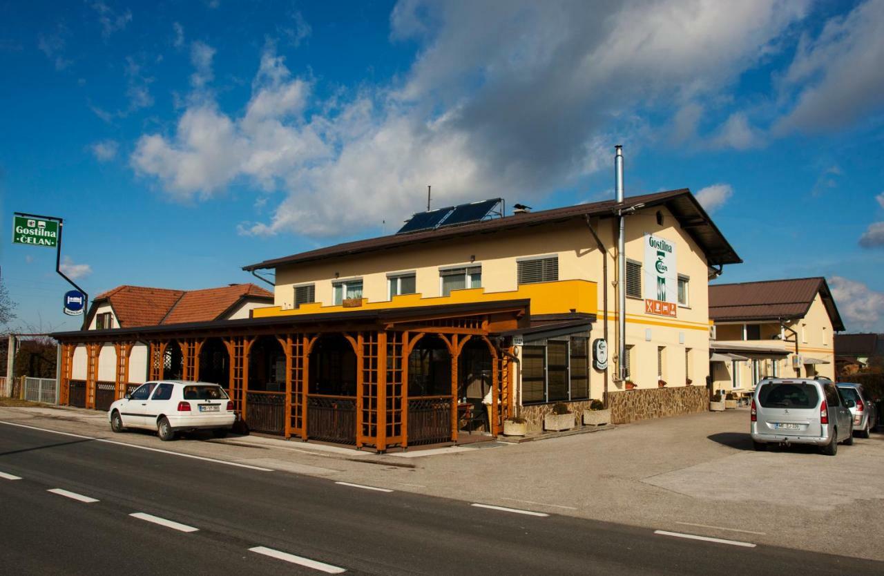 Guest House Celan Spodnja Hajdina ภายนอก รูปภาพ