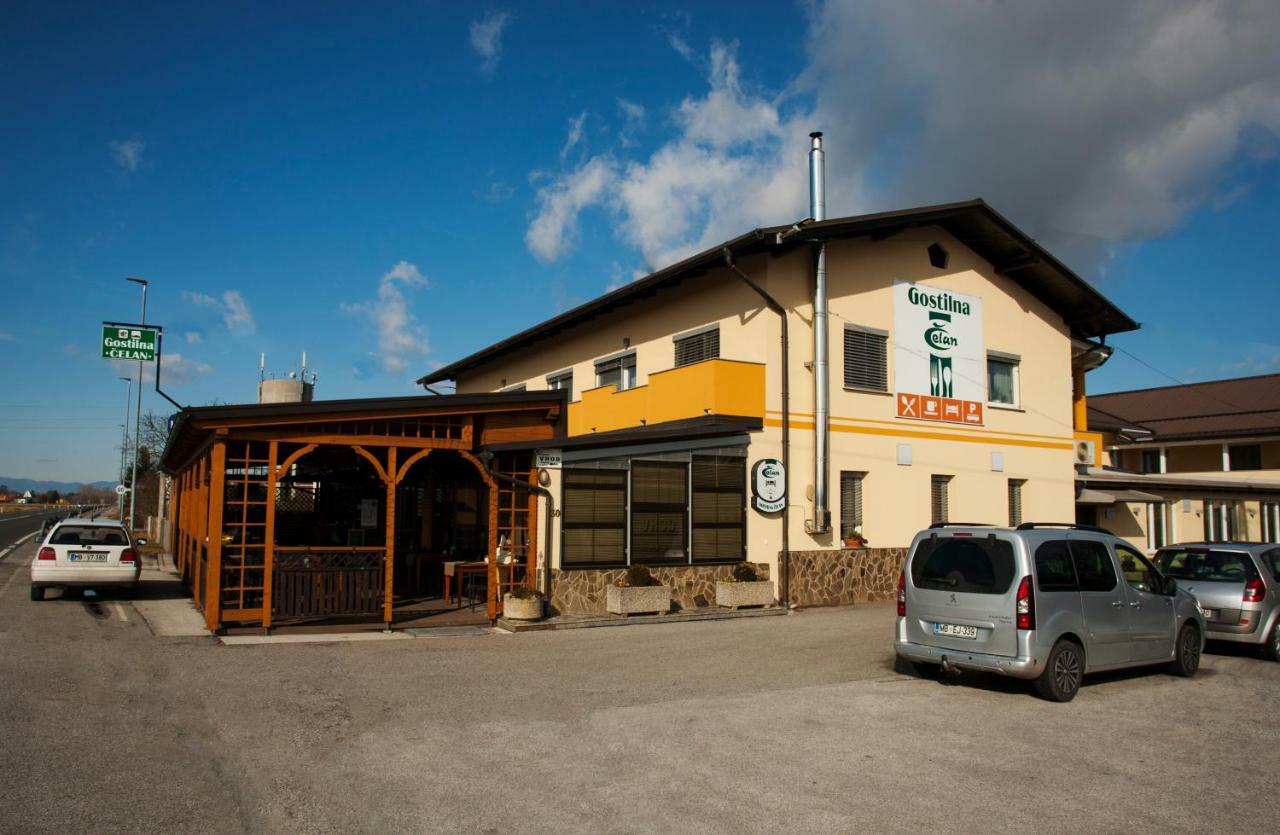 Guest House Celan Spodnja Hajdina ภายนอก รูปภาพ